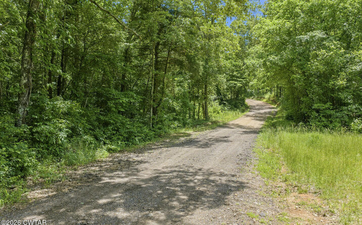 Pictures of Land property located at Gately Rd, Somerville, TN 38068 for sales - image #1