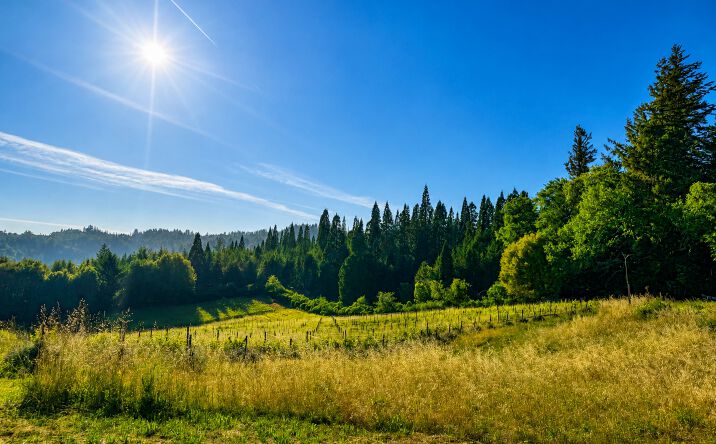 Pictures of Business for Sale, Hospitality, Special Purpose property located at 18516 SKYLINE BLVD, LOS GATOS, CA 95033-8258 for sales - image #1