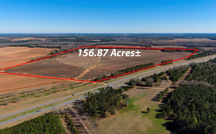 Pictures of Land property located at 425X Hwy 520, Weston, GA 31832 for sales - image #1