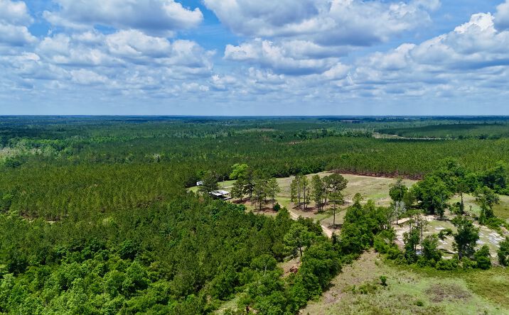 Pictures of Land property located at 0 Neily Wagon Road, Mc Rae Helena, GA 31055 for sales - image #1
