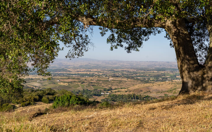 Pictures of Retail, Mixed Use, Land property located at 2762 Adelaida Road, Paso Robles, CA 93446 for sales - image #1