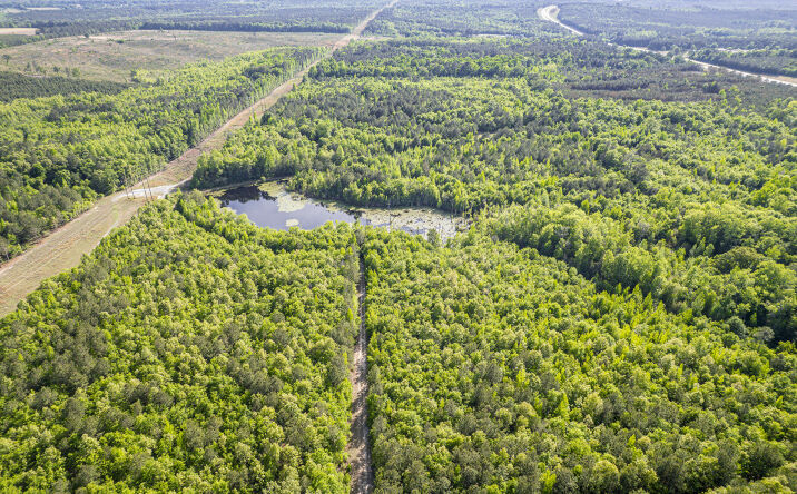 Pictures of Mixed Use property located at 21701 Highway 441, McIntyre, GA 31054 for sales - image #1