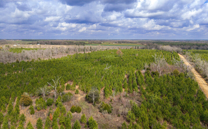 Pictures of Land property located at 0 Highland Rd, Slocomb, AL 36375 for sales - image #1