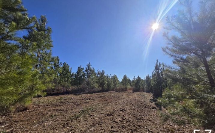 Pictures of Land property located at 0 Chestnut Rd, Slocomb, AL 36375 for sales - image #1