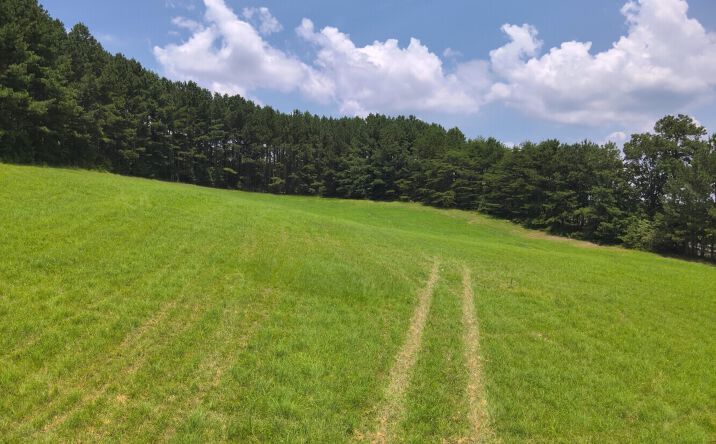 Pictures of Land property located at O Co Rd 101, Crane Hill, AL 35033 for sales - image #1
