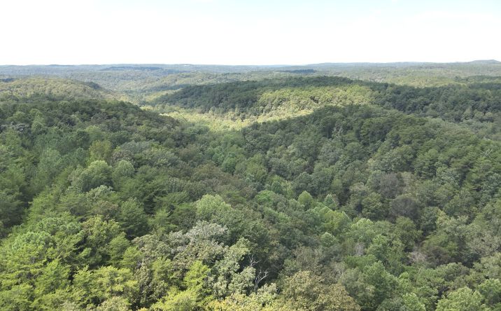 Pictures of Land property located at 0 Stanley Rd, Brookwood, AL 35444 for sales - image #1