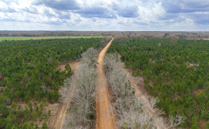 O Chestnutt Rd, Slocomb