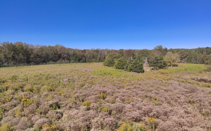 Pictures of Land property located at 0 Murphees Rd, Eva, AL 35621 for sales - image #1