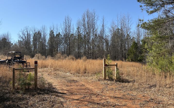 Pictures of Land property located at 71 Orion Ln, Roanoke, AL 36274 for sales - image #1
