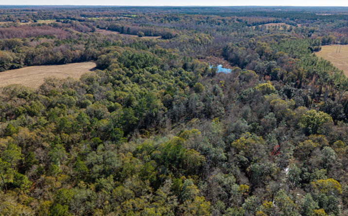 Pictures of Land property located at 0 Cuthriell Rd, Samson, AL 36477 for sales - image #1