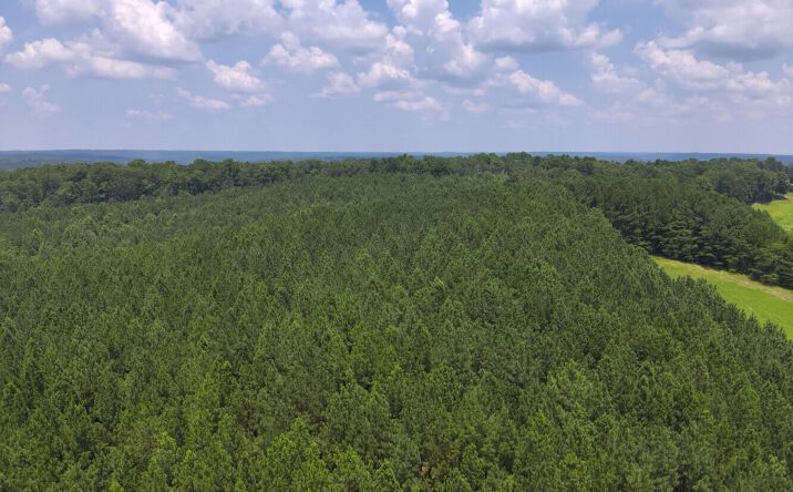 Pictures of Land property located at 0 County Road 101, Crane Hill, AL 35033 for sales - image #1