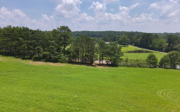 Pictures of Land property located at 0 Co Rd 97, Crane Hill, AL 35033 for sales - image #1