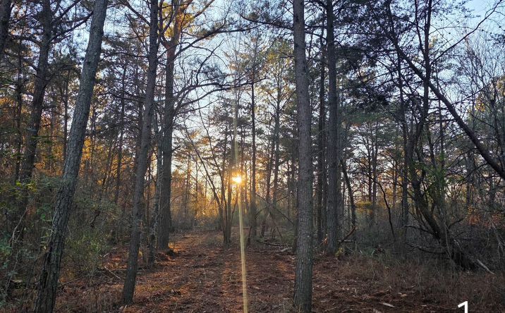 Pictures of Land property located at 0 County Road 53, Cedar Bluff, AL 35959 for sales - image #1