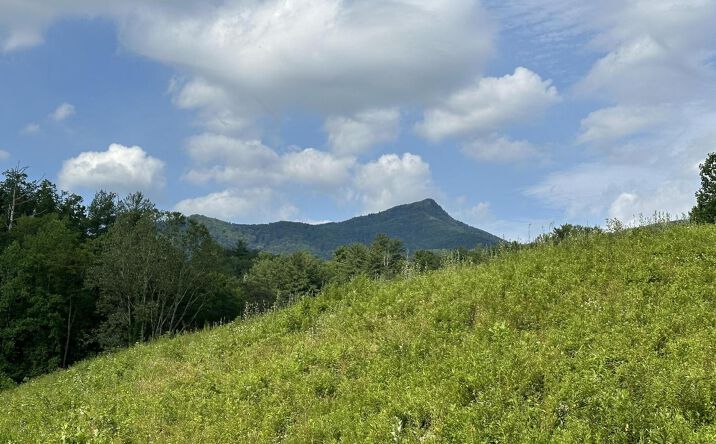 Pictures of Land property located at 0 Barnes Hollow Road, Cosby, TN 37722 for sales - image #1
