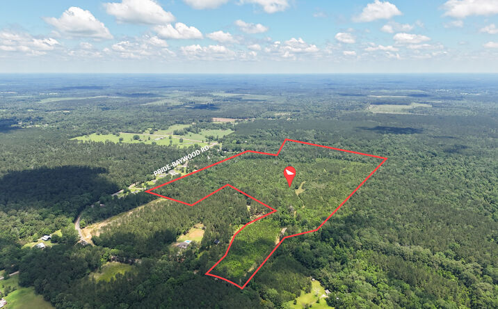 Pictures of Land property located at 20907 Pride-Baywood Road, Greenwell Springs, LA 70739 for sales - image #1
