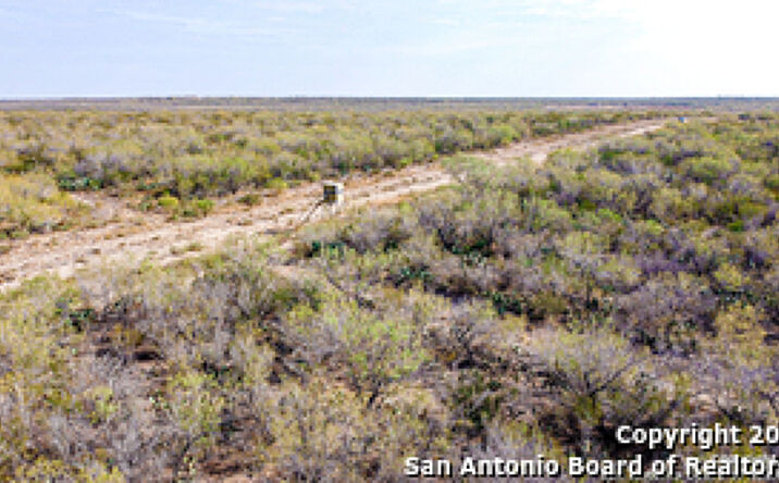 Pictures of Land property located at 000 Easement Road, Laredo, TX 78401 for sales - image #1