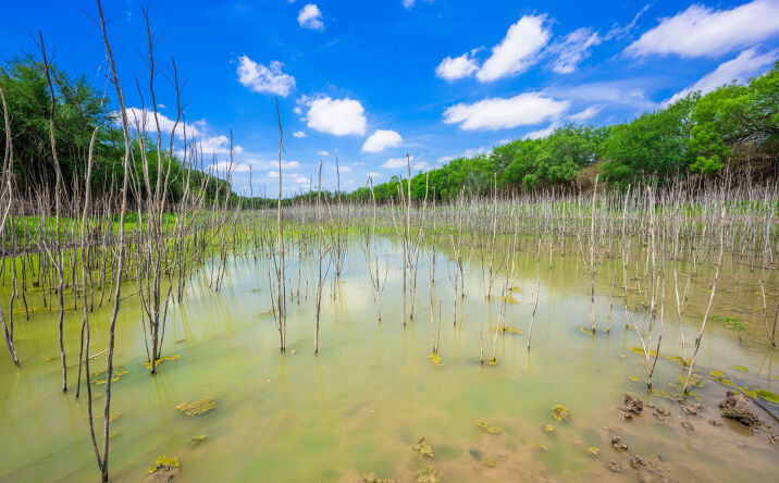 Pictures of Land property located at 000 Koon Hill Rd, Fowlerton, TX 78021 for sales - image #1