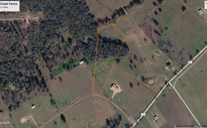Pictures of Land property located at COUNTY RD 231, CENTERVILLE, TX 75833 for sales - image #1