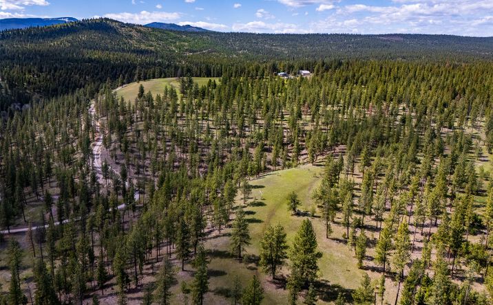 Pictures of Land property located at 3605 Hubbart Dam Road, Marion, MT 59925 for sales - image #1