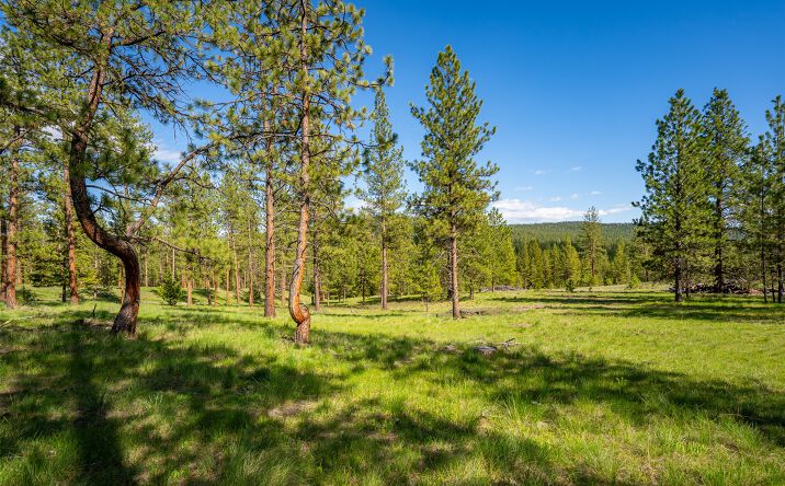 Pictures of Land property located at 3655 Hubbart Dam Road, Marion, MT 59925 for sales - image #1