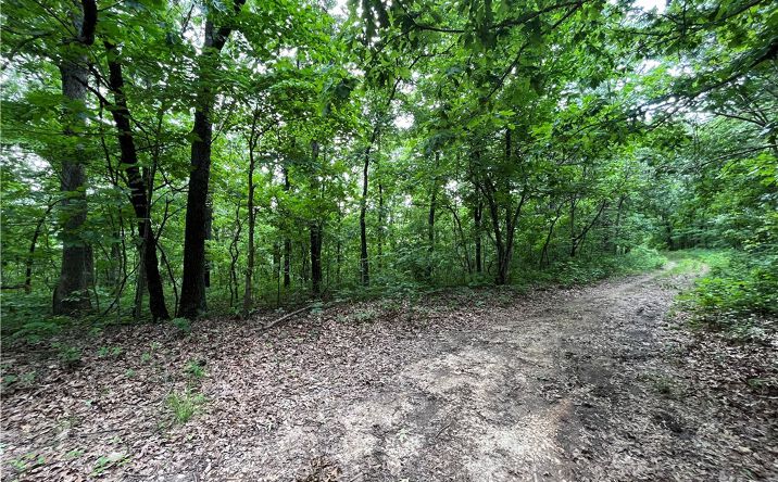 Pictures of Land property located at TBD Lake Forest Estates Road, Stover, MO 65078 for sales - image #1