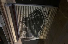 32647497