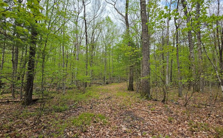 Pictures of Land property located at Lot 23.21 State Route 97, Tusten, NY 12764 for sales - image #1