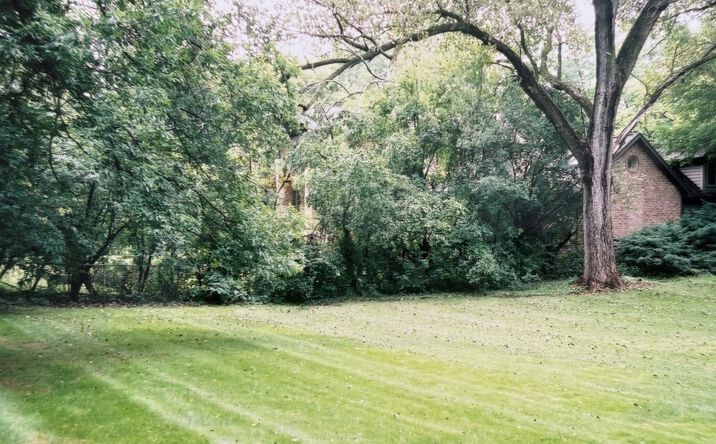Pictures of Land property located at 2007 Ohio Street, Lisle, IL 60532 for sales - image #1