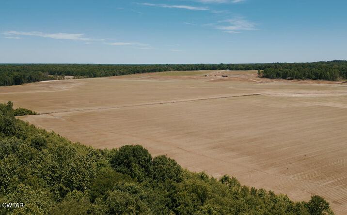 Pictures of Land property located at Eurekaton Road, Whiteville, TN 38075 for sales - image #1