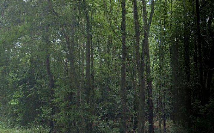 Pictures of Land, Special Purpose property located at 2a Bradleyville Road, North Augusta, SC 29841 for sales - image #1