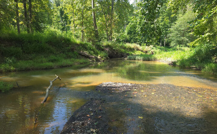 Pictures of Land property located at 78+/- Acres, Nashville, IN 47448 for sales - image #1