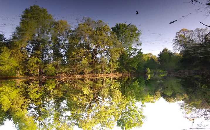 Pictures of Land property located at 1350 COUNTY RD 45400, PARIS, TX 75462 for sales - image #1