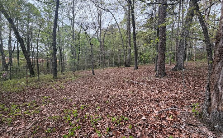 Pictures of Land property located at N County Line Drive, Alto, GA 30510 for sales - image #1