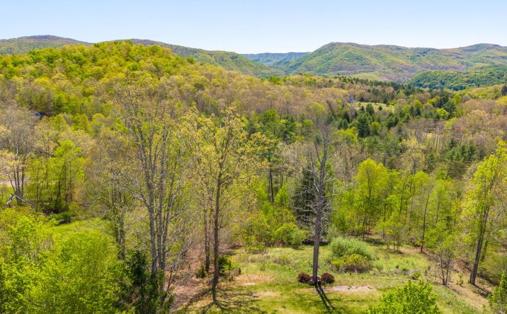 Pictures of Land property located at 408 Fox Ridge Dr, Caldwell, WV 24925 for sales - image #1