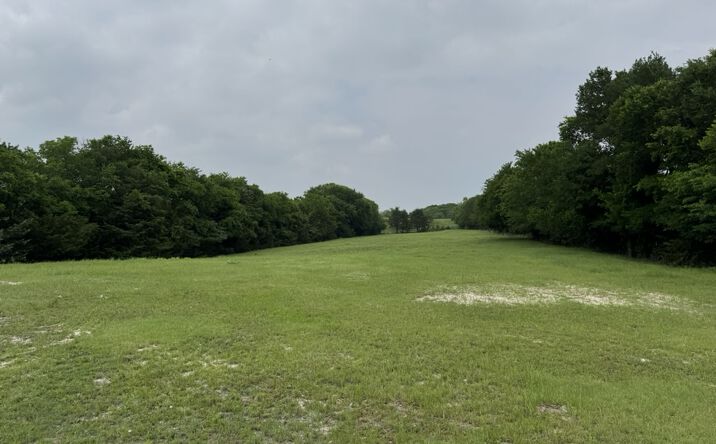 Pictures of Land property located at 6910 County Road 1218, McKinney, TX 75071 for sales - image #1