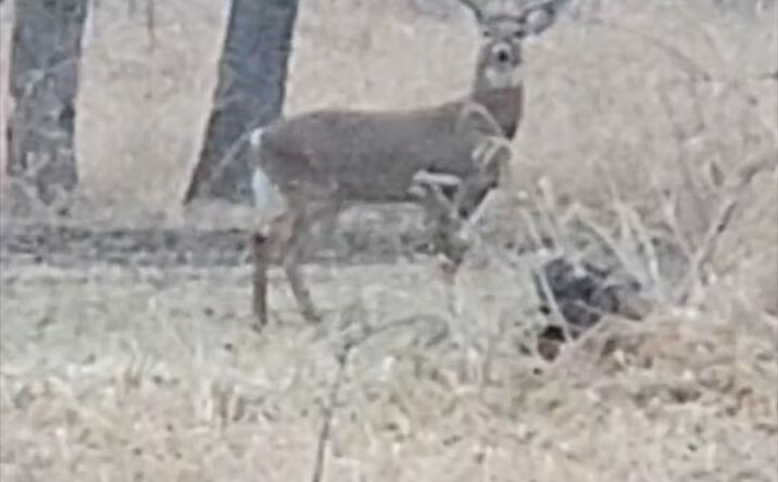 Pictures of Land property located at No Situs Address, Tama Township, IA 30518-2407 for sales - image #1