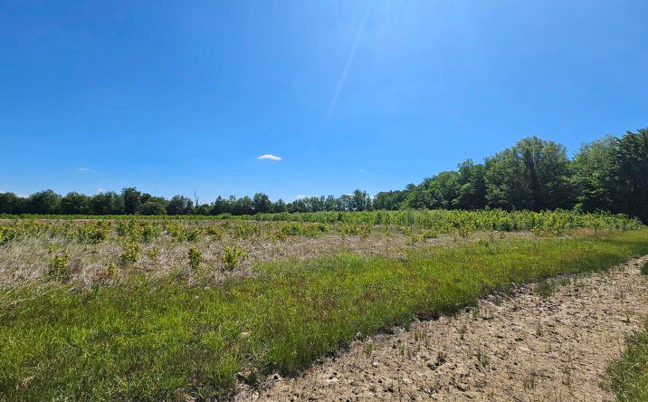 Pictures of Land property located at 6000 S Block US Hwy 31, Crothersville, IN 47229 for sales - image #1