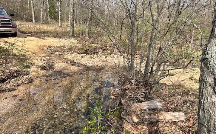 Pictures of Land property located at 413 Kelley Road, Annapolis, MO 63620 for sales - image #1