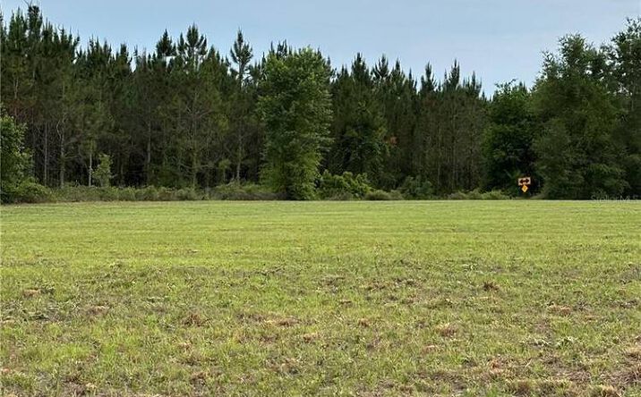 Pictures of Land property located at 974 Sw Sherlock Terrace, Lake City, FL 32024 for sales - image #1