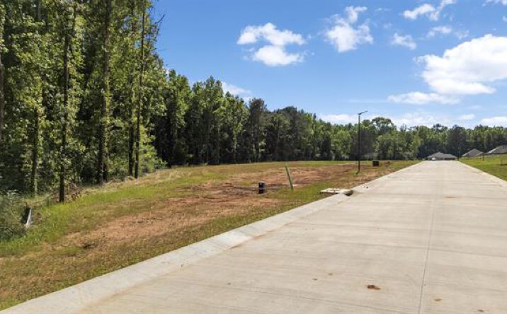 Pictures of Land property located at 403 Mary Lane, Troup, TX 75789 for sales - image #1