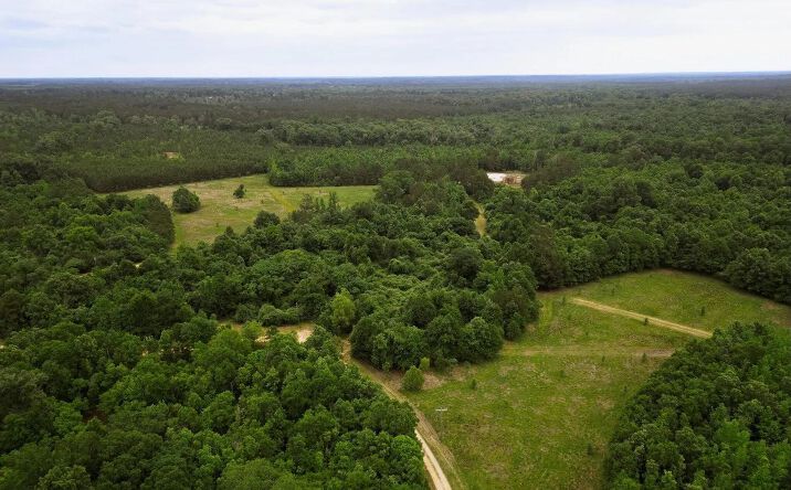 Pictures of Land property located at Lewis Lane, 69546, MS 39638 for sales - image #1