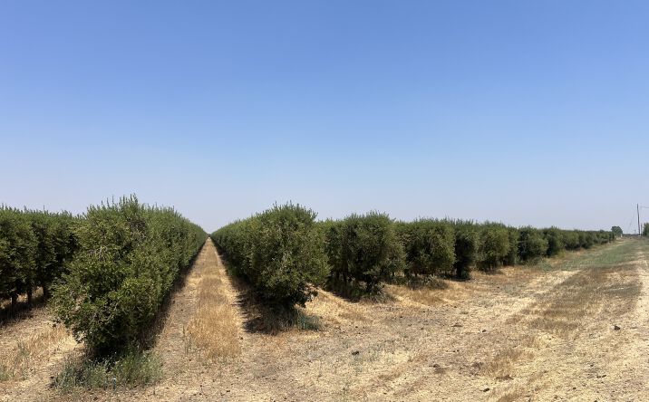 Pictures of Land property located at County Roads D & 30, Orland, CA 80906 for sales - image #1