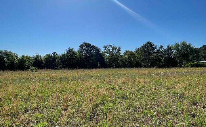 Pictures of Land property located at 00 County Road 2138, Troup, TX 75789 for sales - image #1