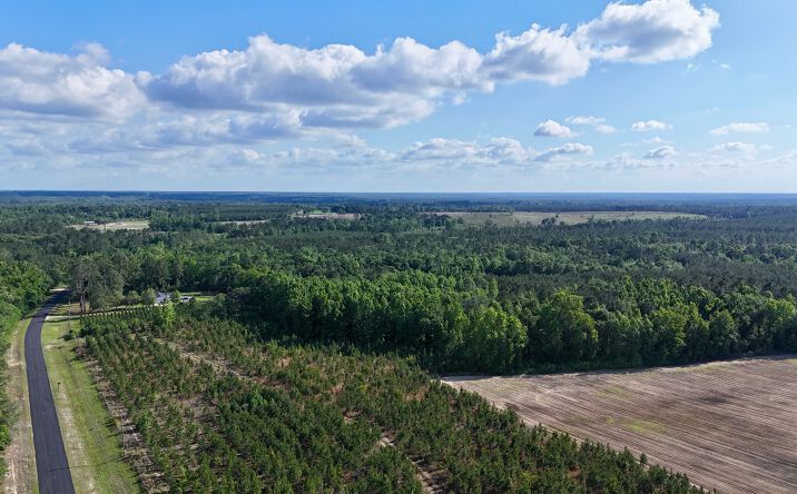 Tract 2 - Oscar Tippins Road, Baxley