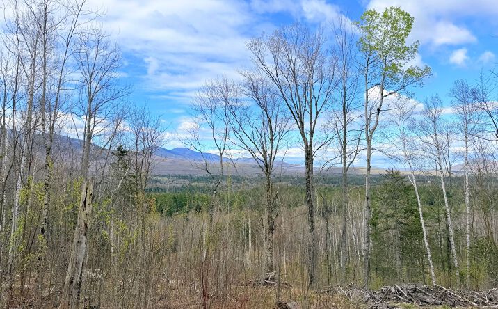 Pictures of Land property located at 00 Route 3 North, Carroll, NH 03595 for sales - image #1