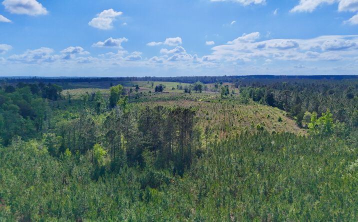 Tract 4 - Oscar Tippins Road,, Appling, GA, Baxley