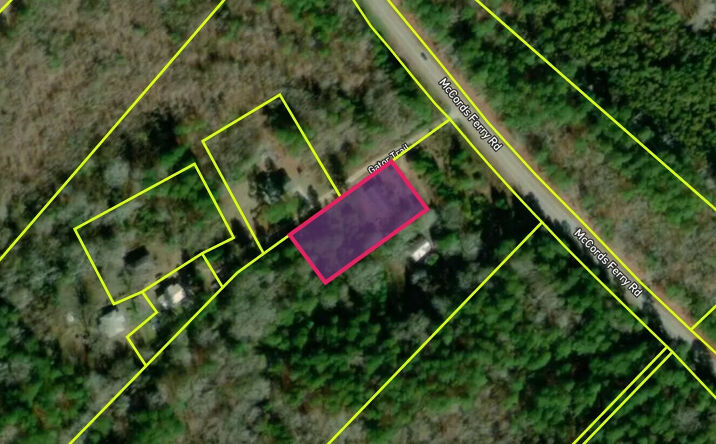 Pictures of Land, Multifamily property located at 3598 Mccords Ferry Rd, Elloree, SC 29047 for sales - image #1