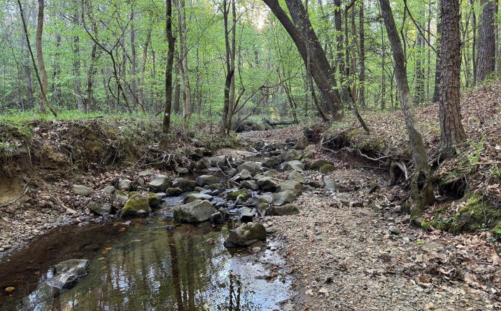 Pictures of Land property located at 0 Cartledge Creek Road, Rockingham, NC 28379 for sales - image #1