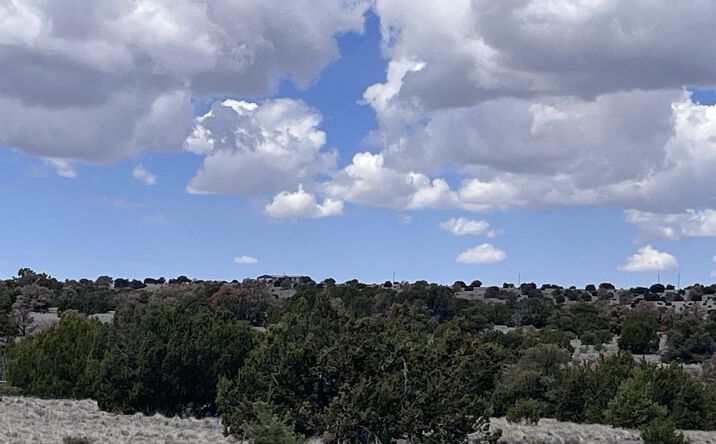 Pictures of Land property located at 69 Wildflower Trail, Quemado, NM 87829 for sales - image #1