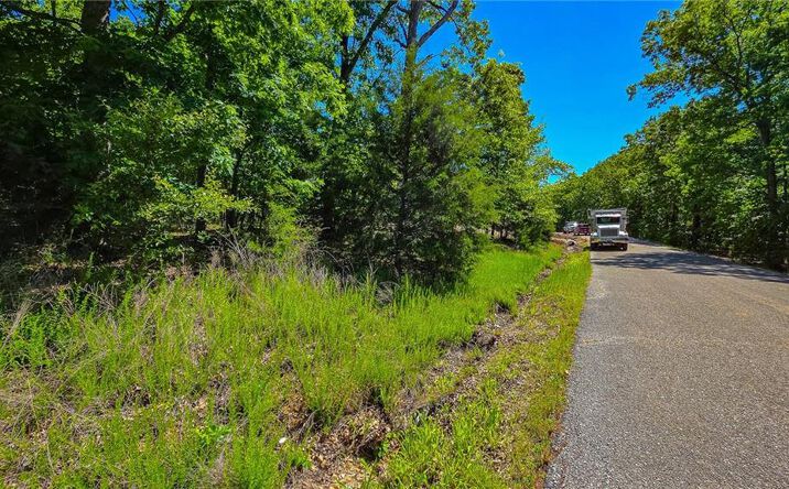 Pictures of Land, Multifamily property located at Lot #1342 Champion Drive, Sunrise Beach, MO 65079 for sales - image #1
